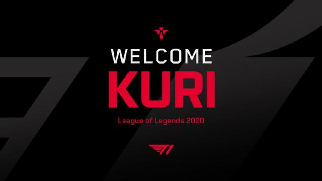 本文将深入 本文将深入